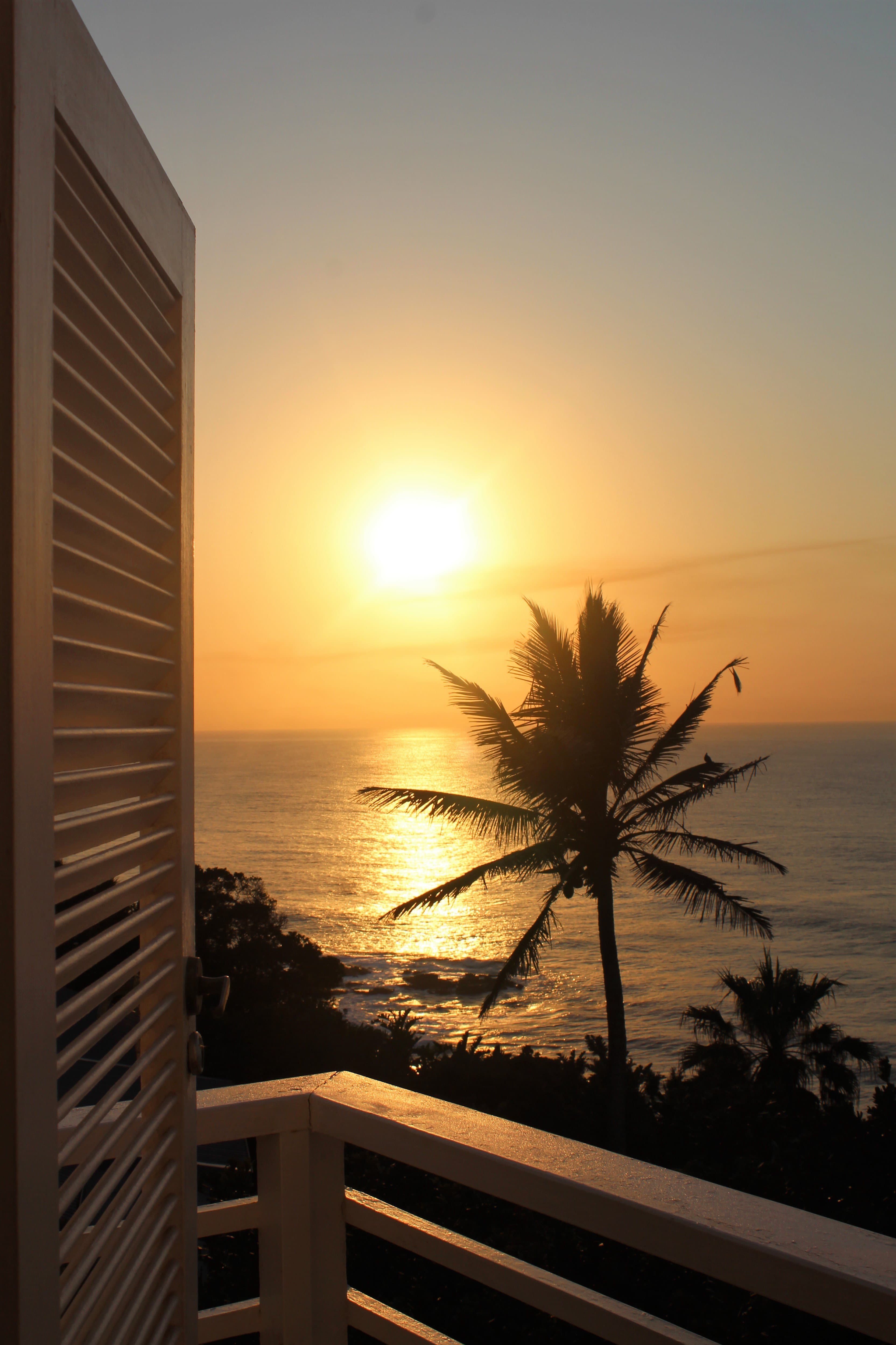 따뜻한 햇살이 들어오는 창가